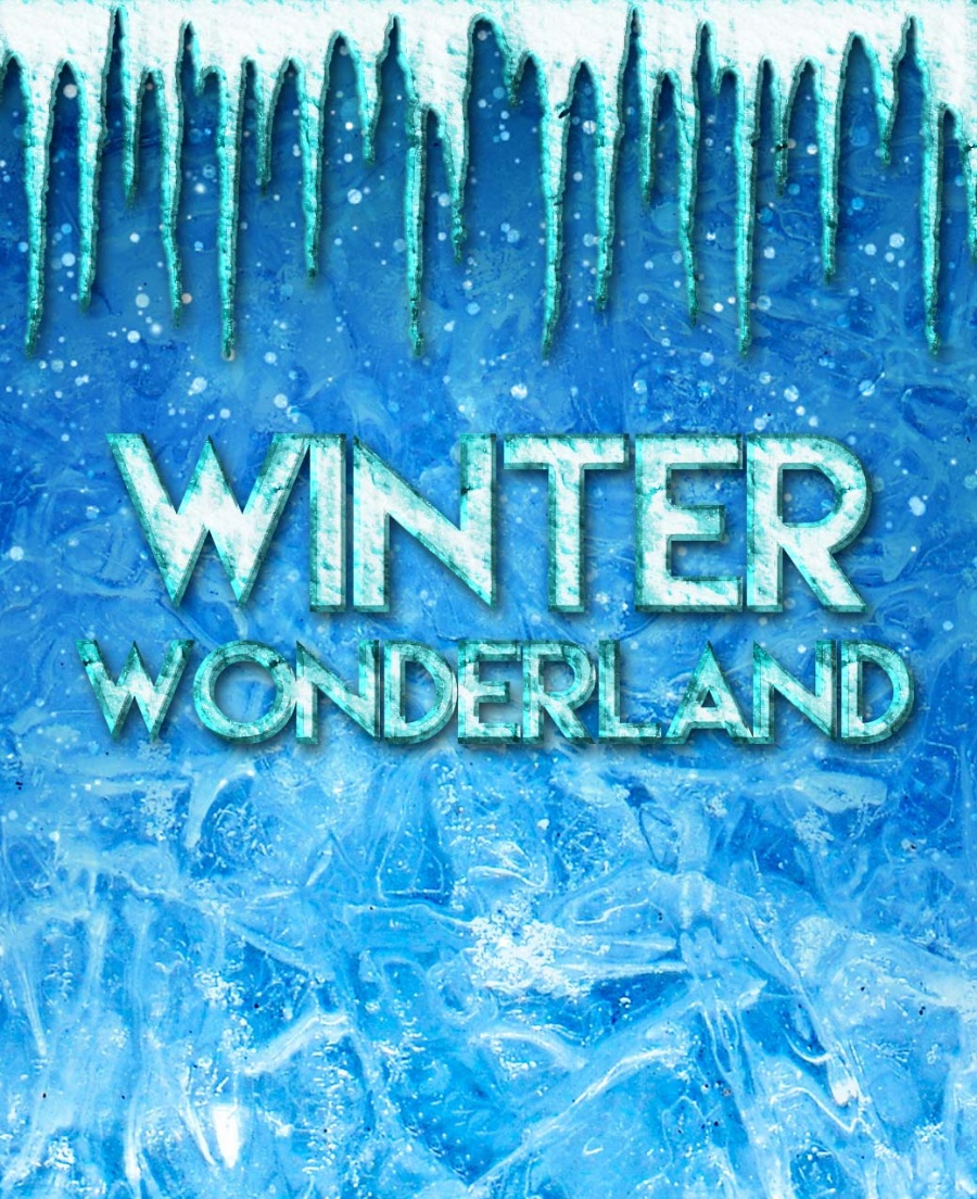 冰天雪地mockups场景英文艺术样机