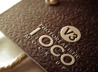 适合vip会员卡展示的logo样机素材