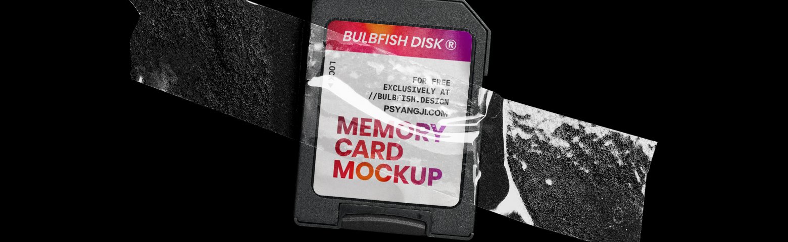 国外高级MOCKUPS，真实质感SD数码储存卡PS样机